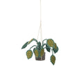 KidsDepot plant Grote Bladeren - Groen