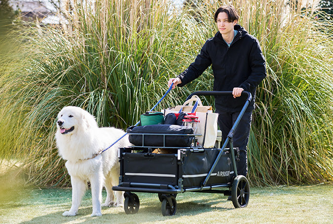 AirBuggy AIR-CRUISER – De Ultieme Premium Hondenbuggy voor Grote Rassen