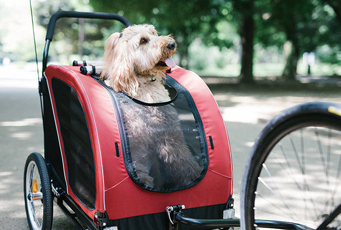 AirBuggy Cube Nest – hondenbuggy voor hond of kat