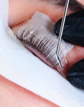 Formation en ligne Volume Lash Lift (différentes langues)