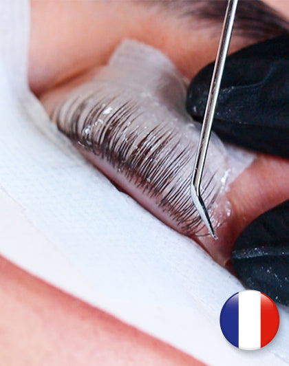 Formation en ligne Volume Lash Lift (différentes langues)
