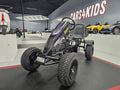 Gokart Storm Rider XXL met luchtbanden