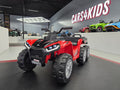 TrailBlazer 6-wielige elektrische kinderquad 24V met laadplatform