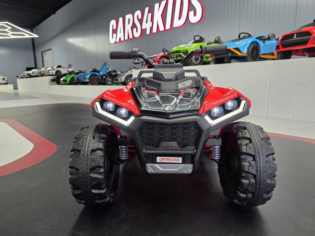 TrailBlazer 6-wielige elektrische kinderquad 24V met laadplatform