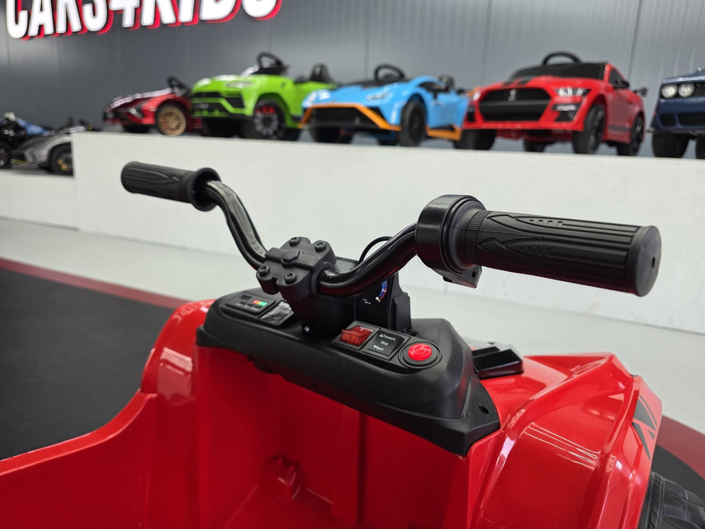 TrailBlazer 6-wielige elektrische kinderquad 24V met laadplatform