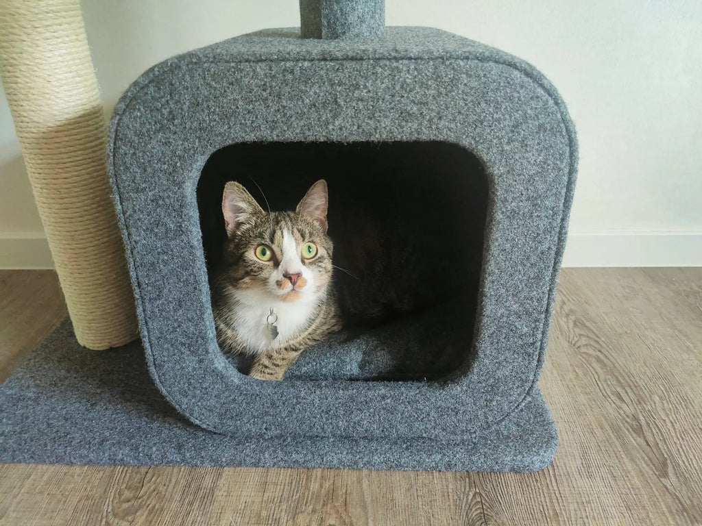 Krabpaal voor katten met huisje - 2 niveaus en gezellige slaapplek
